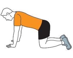 One-Arm/One-Leg Reaching Balance starting point graphic