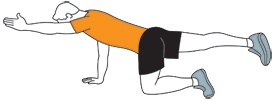 One-Arm/One-Leg Reaching Balance workout graphic