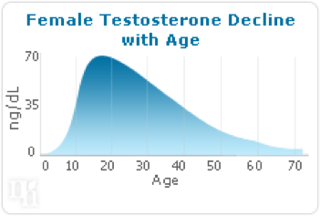 female testosterone decline.png