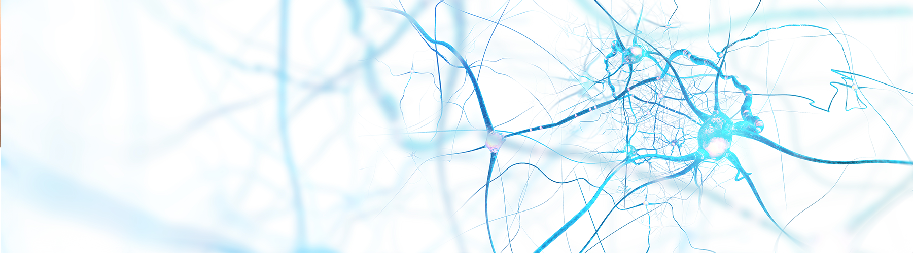 Cerebrolysin