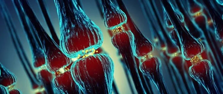 synaptic-plasticity copy