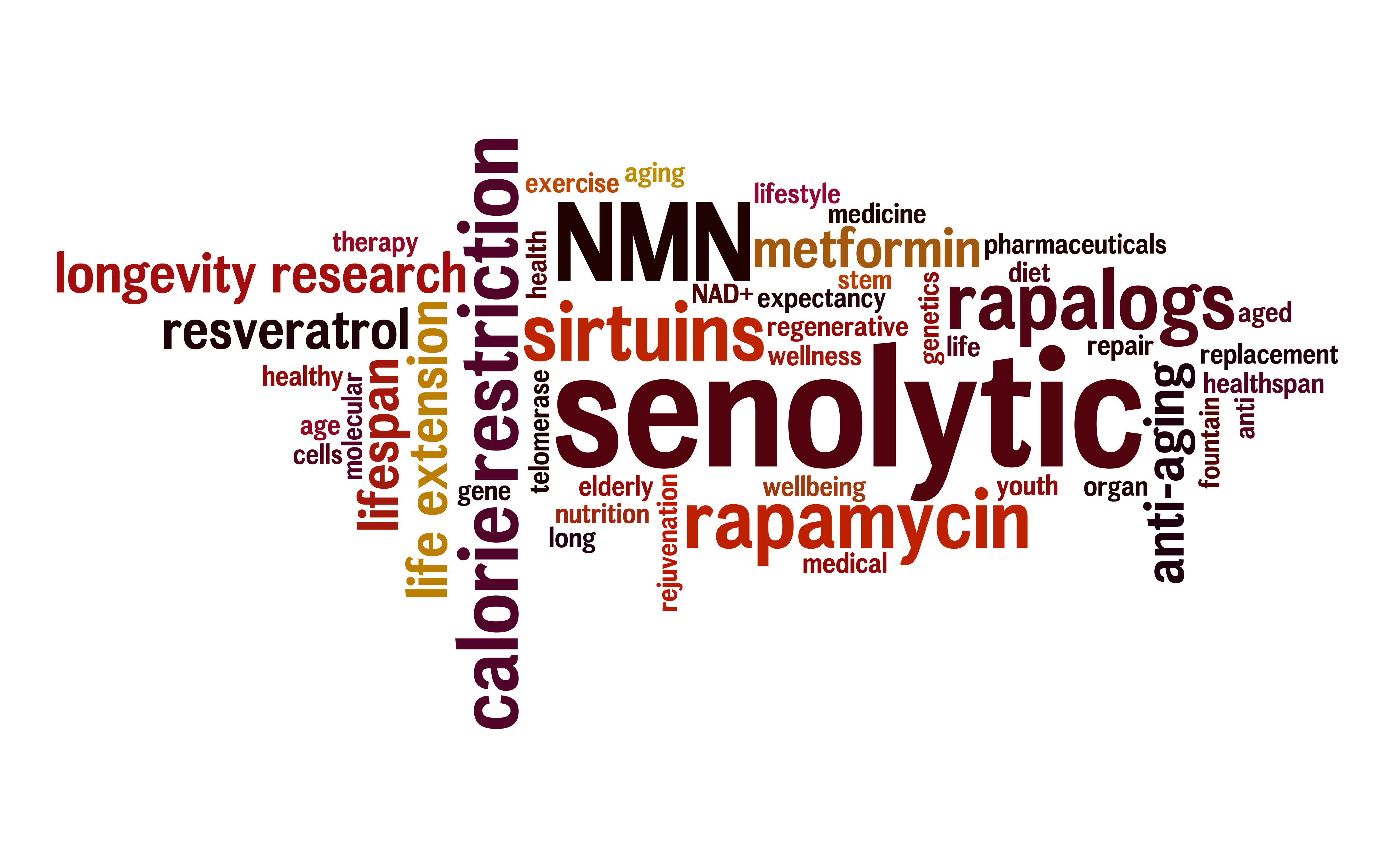 Exploring Senolytic Supplements: Unlocking the Potential of Anti-Aging Therapies