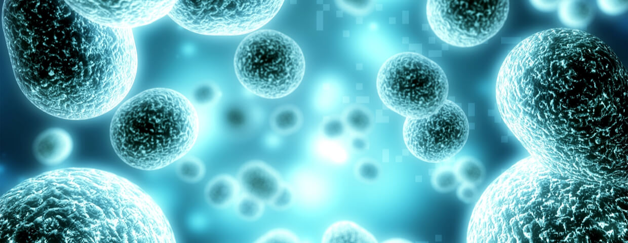 close up through a microscope of antibiotics and cells